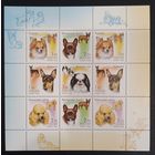 Марки России 2000 чистый малый лист Декоративные собаки, фауна, СК 605 - 609, каталог 1000 рос. рублей