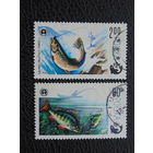 Польша 1979г. Рыбы.