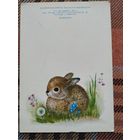 Открытка Зайчонок,худ.Т.Жебелева,1985