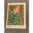 СССР 1972. Алоэ древовидное. Марка из серии