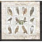 ФФ1 Украина 2003 Совы