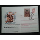 1982 хмк + СГ шахматы, турнир среди мужчин