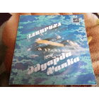 Виниловая пластинка. Миньон. 7" Завируха.