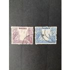 Польша 1938 Неполная серия марок "Зимняя благотворительная акция помощи" (гашение без клея, следы от наклеек) Mi.349-350 каталог 9.60 евро