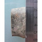 Деталь от царской шашки.