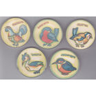 Птицы: щегол, снегирь, глухарь.