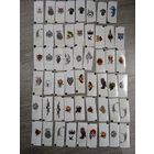 Вкладыши от жвачки. 60 штук.