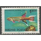 Венгрия. Тропические рыбы. Южный Афиосимион. 1962г. Mi#1827.