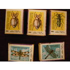 Спичечные каробки