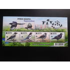 2024 Вороновые** Блок