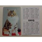Карманный календарик. Котик.1992 год