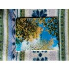 Набор открыток встреча с природой. Выпуск 1.1973г.