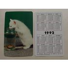 Карманный календарик. Котик.1992 год