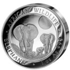 Сомали 100 шиллингов 2014г. "Слоны". PROOF. Высокий рельеф. Монета в капсуле; деревянном подарочном футляре; сертификат; коробка. СЕРЕБРО 31,10гр. (1 oz).