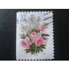 США 2004 цветы