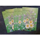 Открытки СССР