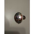 Продам знак Академия МУС 50