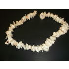 Бусы из ракушек