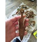 Очень старинное оружие труда(соха!?)с рубля