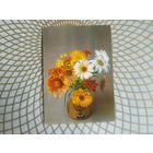 Открытка СССР 1984 год.   Чистая. Е.Савалов . Состояние на скане.