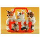 Посткроссинг. Открытка из Кипра: котята и молоко (11х16). Прошла почту. Художественные марки.