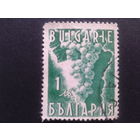 Болгария 1938 виноград