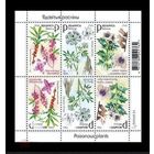 2026 Беларусь 1647-1649 Флора. Ядовитые растения. Волчеягодник. Ядовитый вёх. Чёрная белена (блок) **