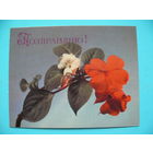 Савалов Е.(фото), Поздравляю! 1988, чистая, мини-формат.