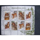 Марки Беларуси ##379-382. МЛ Европейская рысь