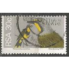 ЮАР. Птицы. Желтоклювый токо. 1974г. Mi#458.