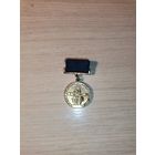 Знак "Юный участник ВДНХ", времён СССР.