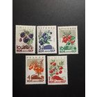 СССР. Ягоды. 1964г. чистая