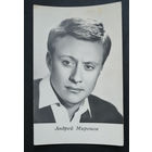 Андрей Миронов. Актеры театра и кино. Артисты эстрады. 1966 год. #0270-U1P135