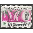 Малайские штаты(Кедах). Цветы. Орхидеи. 1965г. Mi#111.