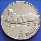 Сомалиленд.  5 шиллингов  2019 год  UC#193  "Гиппопотам"