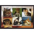 СЕРИЯ Блоков кошки собаки тигры  фауна  MNH