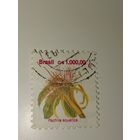 Бразилия. 1992 Стандарт, цветы 1000,00