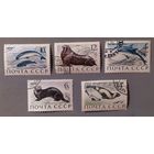 Фауна. СССР, 1971