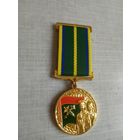 Медаль. За заслуги в таможенной службе 1 степени.