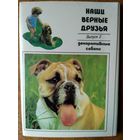 Полный набор открыток СССР (20 шт). Наши верные друзья. Вып. 2.