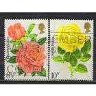 Великобритания 1976 EII 100 летие Королевского национального общества роз Культивированные розы #711-2