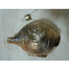 Ёлочные игрушки СССР,лот 116