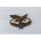 Франция. Квалификационный знак специальной горной подготовки (G2465)