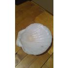 Пепельница.Ракушка цена сниж.(_50%)