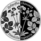 Лапчатка скальная. 1 рубль.