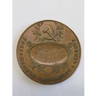 Памятная настольная медаль. Бронза. "Родившемуся в Могилевской области". "К столетию со дня рождения В.И. Ленина". 1969г. Ретро СССР. м