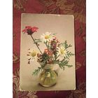 Открытка СССР, 1983,Планета