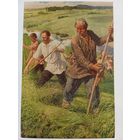 1953. Самохвалов. Левин на косьбе. "Анна Каренина" Толстого