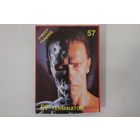 TERMINATOR STREET FIGHTER