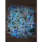 ФЛОРА, ФАУНА (62 шт)